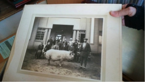 An old archived photo of a group of people and a pig